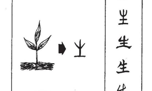 香蕉的15种吃法大全-香蕉有什么新吃法网- 香蕉的多种吃法是怎么吃知识,分享香蕉有哪些吃法