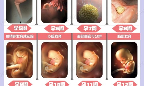 香蕉有什么新吃法网- 香蕉的多种吃法是怎么吃知识,分享香蕉有哪些吃法